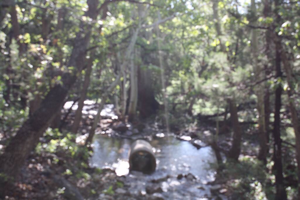 Ramsey canyon creek runs through here during many months of the year