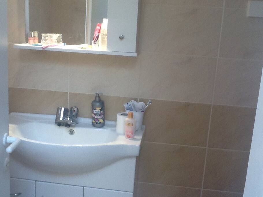 The bathroom