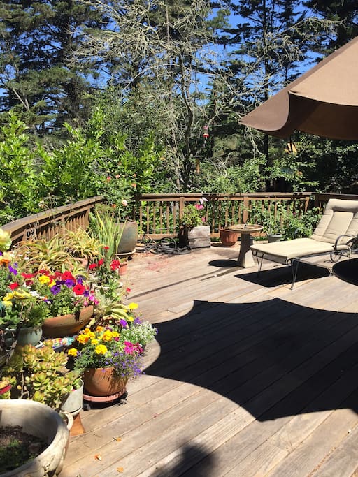 Charming, bright deck