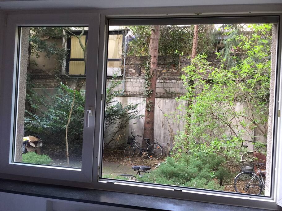 Window view. The flat is on the ground floor!