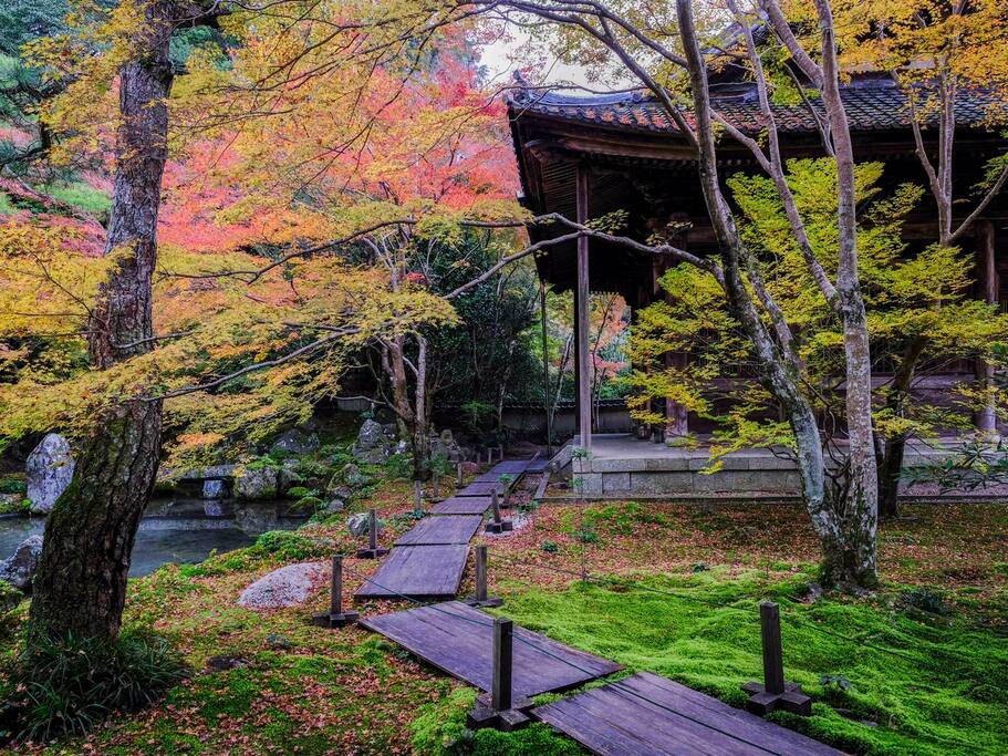 莲华寺 京都红叶季真正的穴场 京都旅游攻略 尽在airbnb爱彼迎