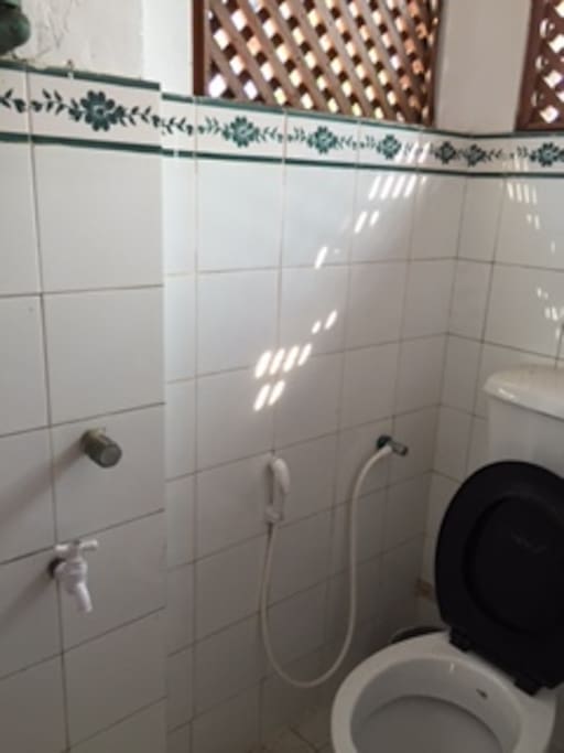 basic toilet with shower