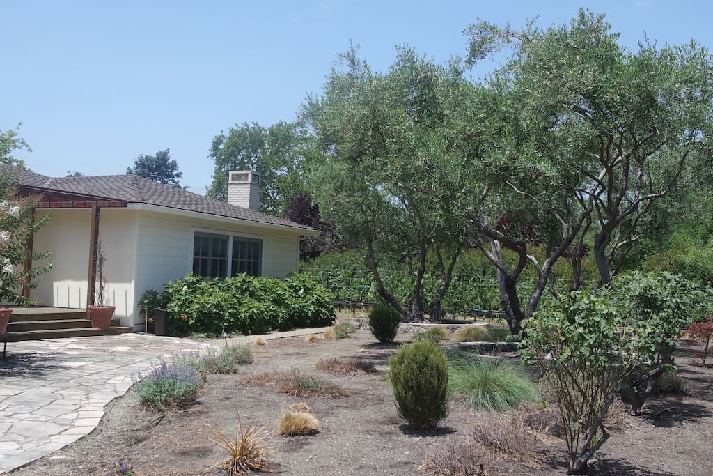 Front Yard