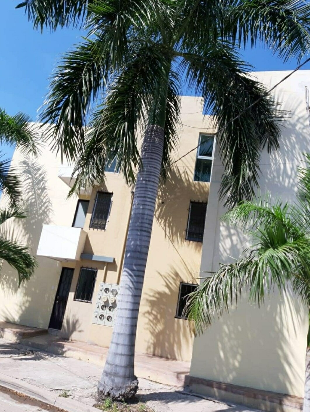 A light-colored building is visible, flanked by tall palm trees. Windows are positioned on the upper levels, and a door is centrally located on the ground floor. The scene is set against a clear blue sky.