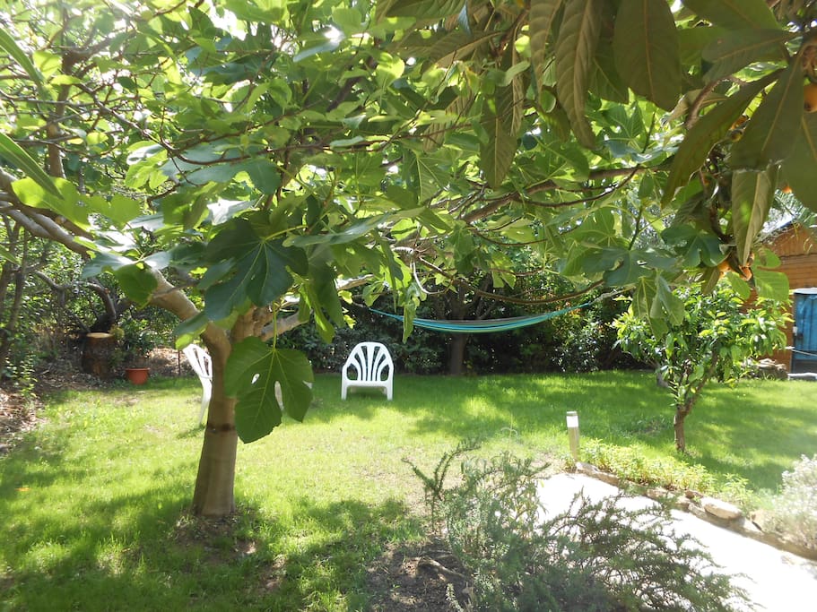 jardin avec hamac