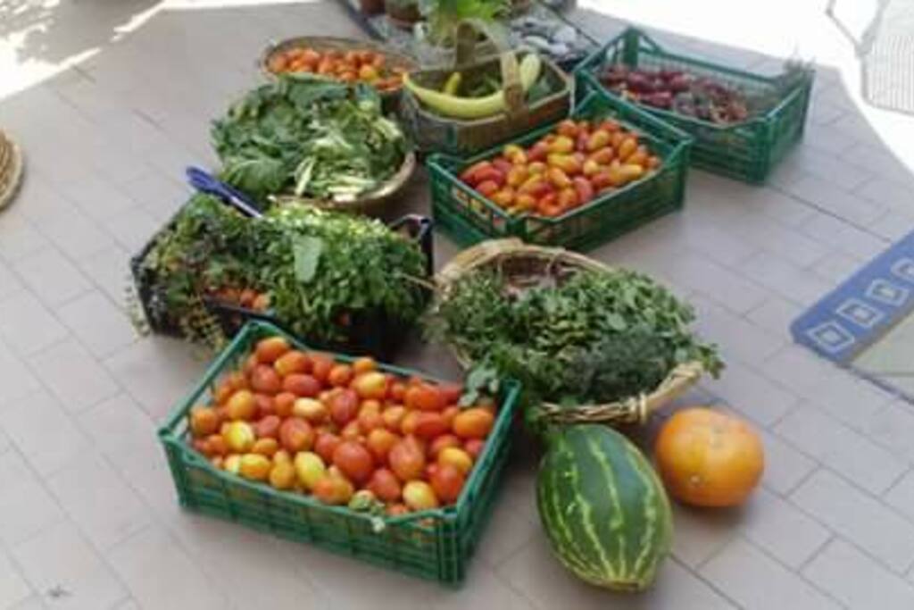 i nostri prodotti sempre freschi e bio