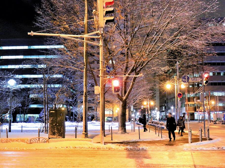 最爱的雪国在这里 北海道大通公园的玩耍方式 札幌旅游攻略 尽在airbnb爱彼迎