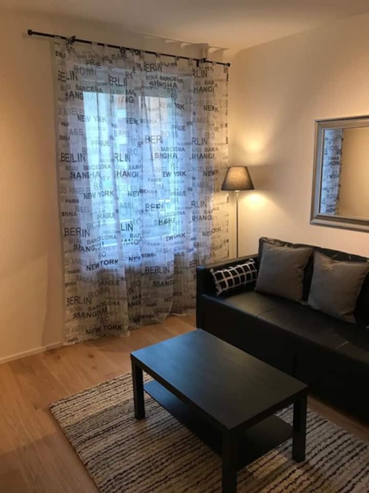 Rent a very nice home in BaselStadt Apartments for Rent in Basel