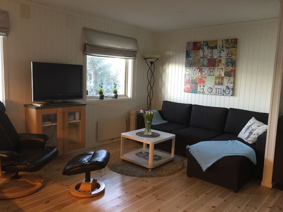 Livingroom with TV