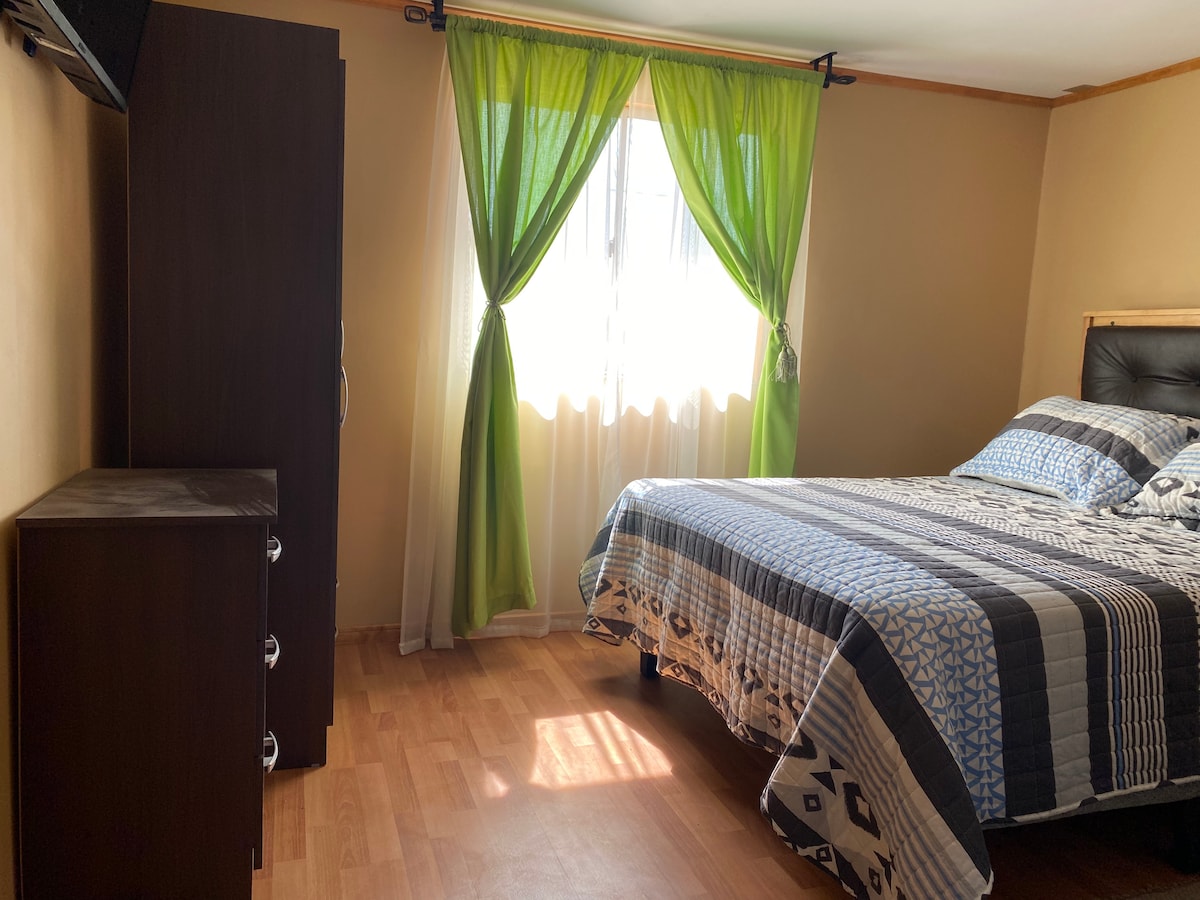 A bright sleeping area is showcased, featuring a spacious bed with patterned bedding. Natural light filters through sheer, green curtains, illuminating the wooden floor. A dark wardrobe and a dresser are positioned nearby, contributing to the room's functional layout.
