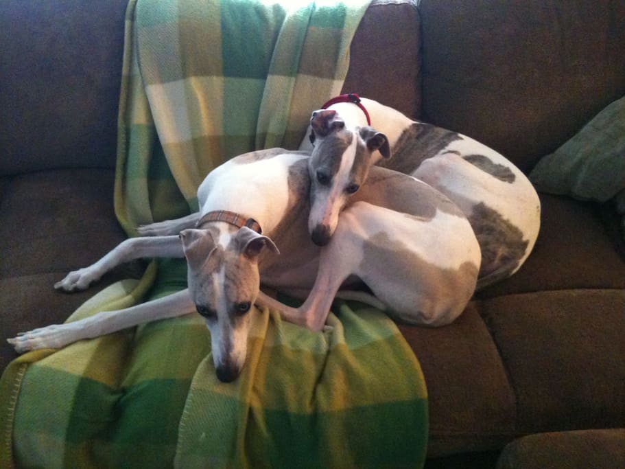 Kusko and Tate
