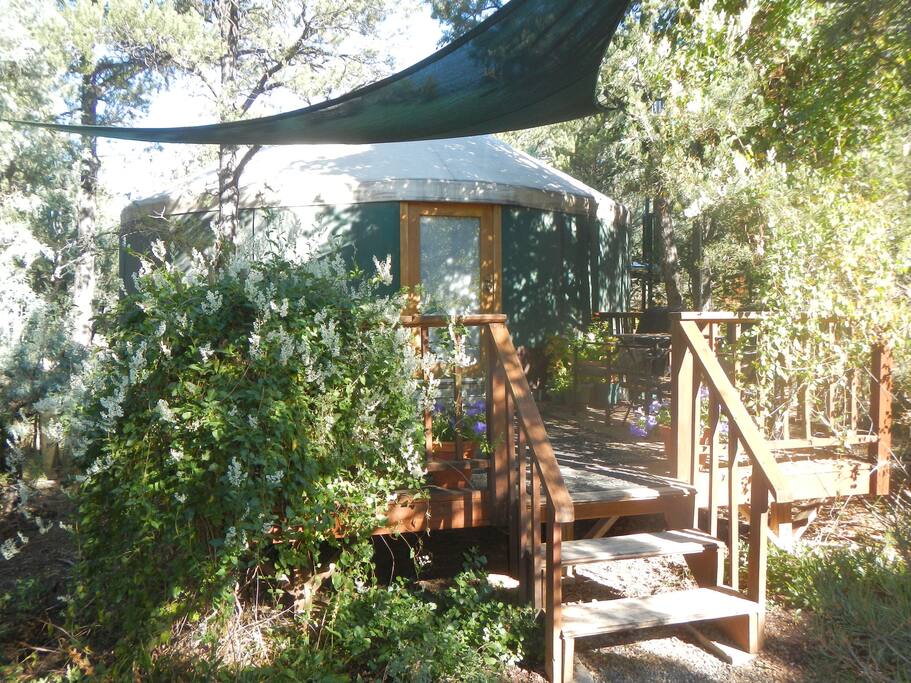 Middle Yurt Nestled in the Trees Yurts for Rent in Arroyo Seco, New