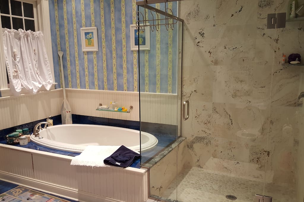 Jacuzzi tub and shower.