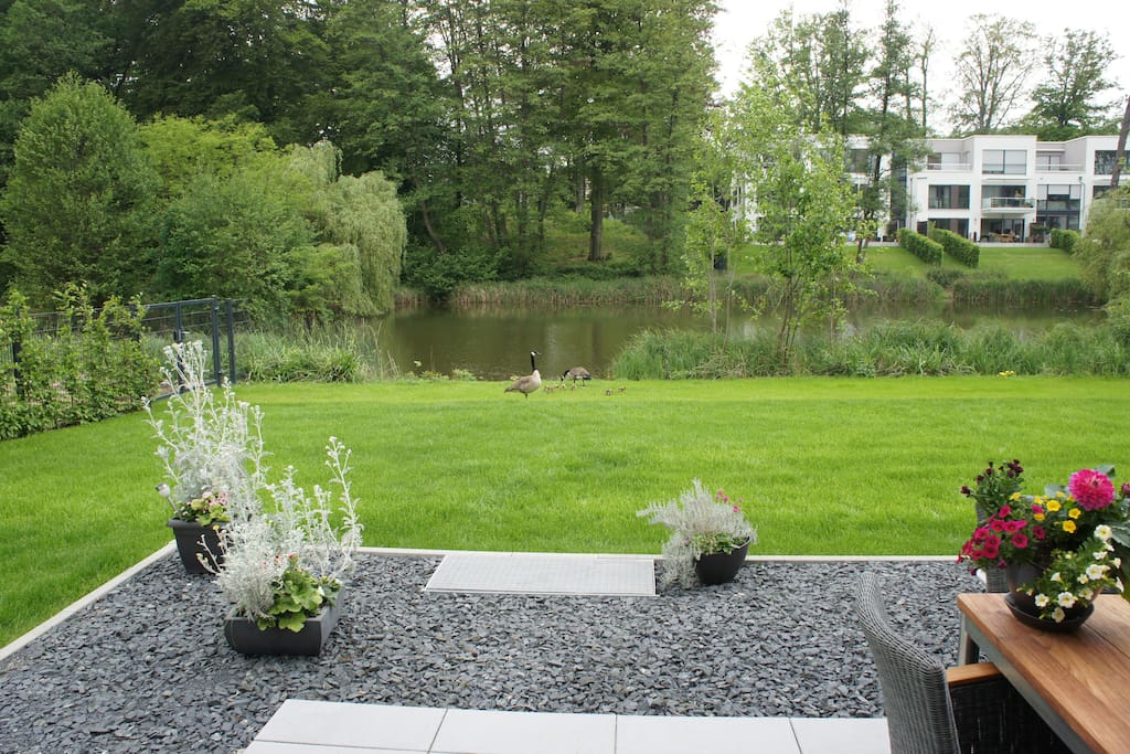Garden in summer