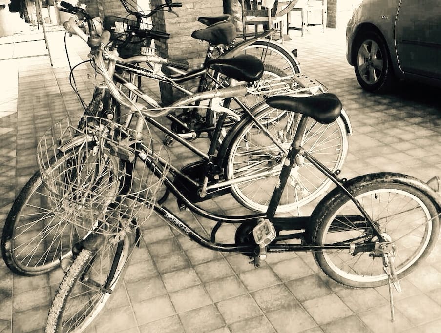 We also have bicycles for the guests who love to go sightseeing.