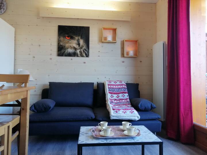 Appartement Entier  Puy Saint Vincent Alpes Du Sud - Puy-Saint-Vincent