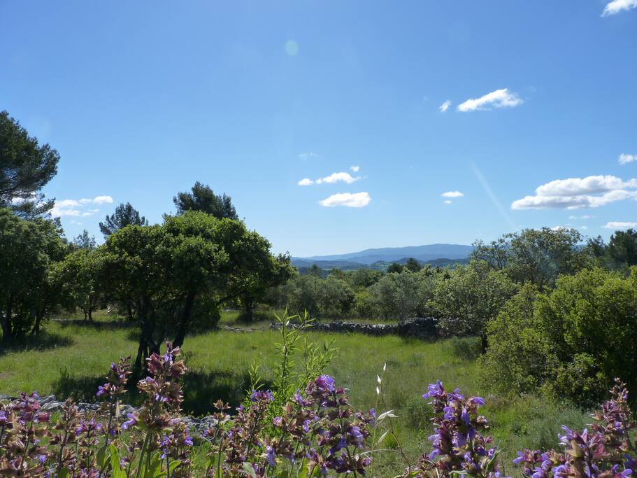...de la belle nature provençale pour vous ressourcer