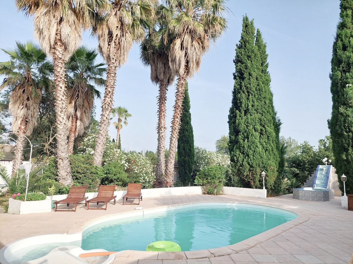 A well-maintained outdoor area features a swimming pool surrounded by palm trees and tall, neatly trimmed shrubs. Several wooden lounge chairs are arranged beside the pool, creating a relaxing atmosphere. A gentle water feature is visible in the background, enhancing the serene environment.