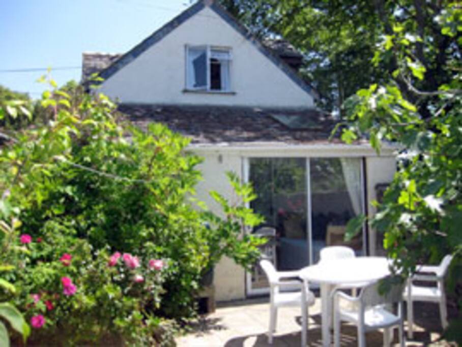 Dolphin Cottage Courtyard