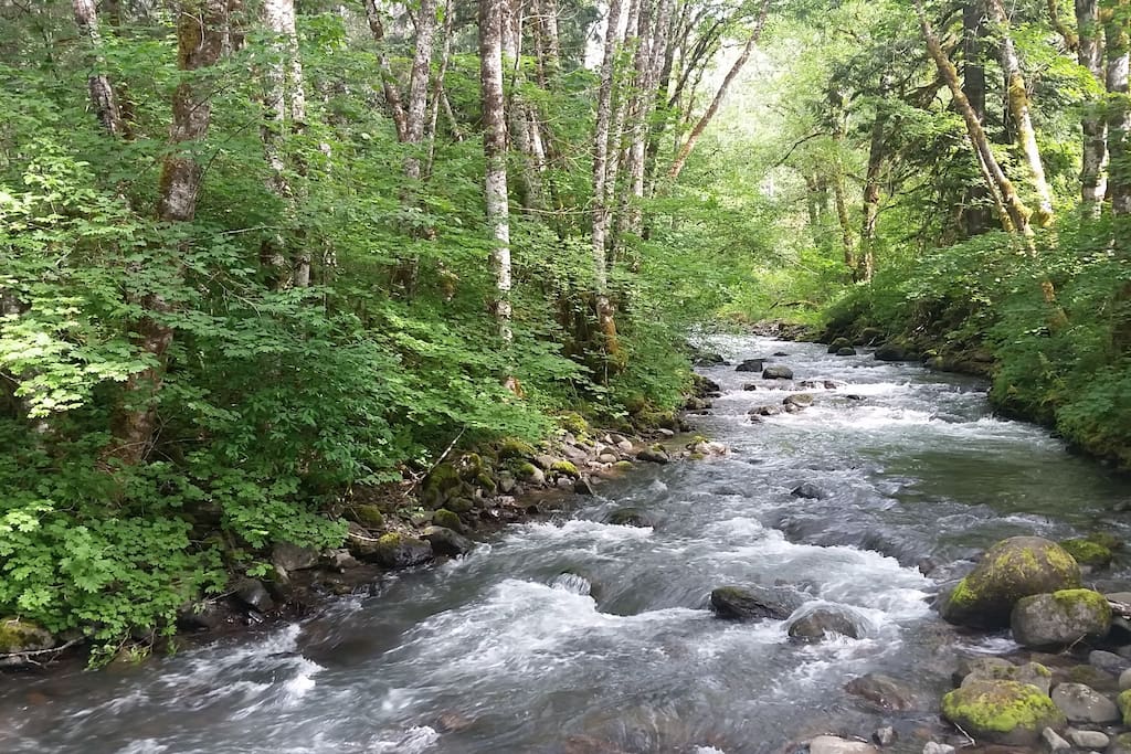 Lake Creek running past the cabin