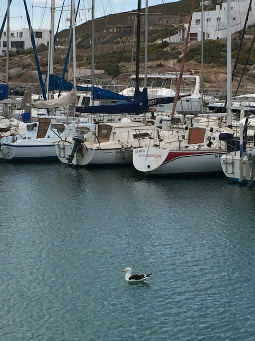 Club Mykonos marina nearby