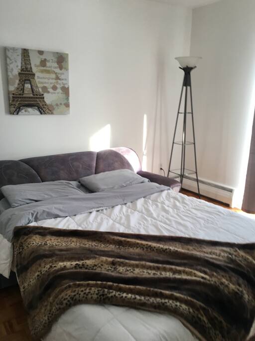 Salon avec un divan lit
