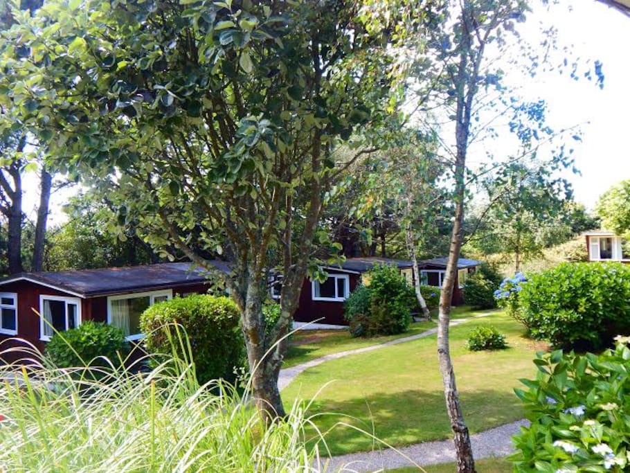 Mount Hawke Holiday Bungalows - Chalets
