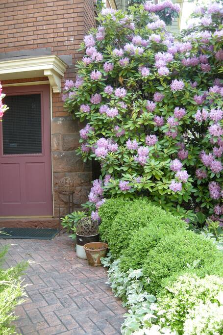 Back Door