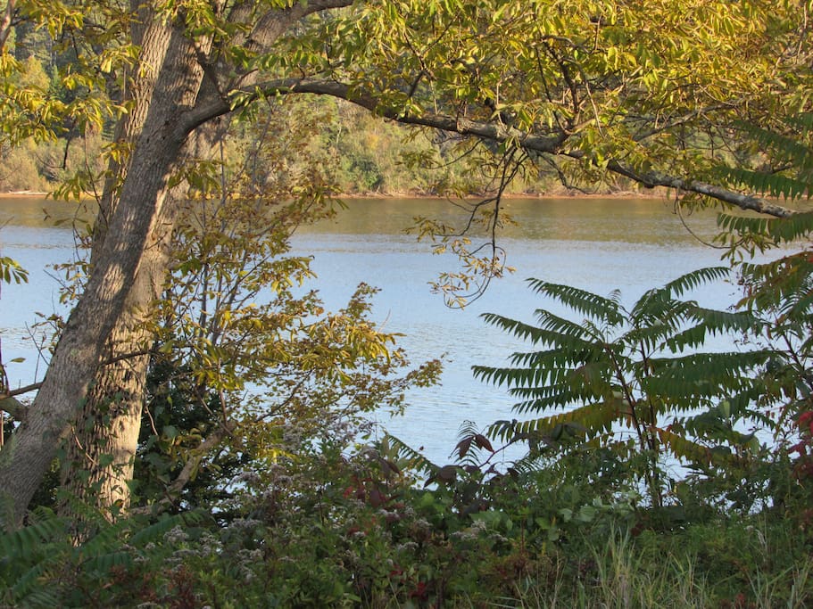 A great spot for morning coffee.