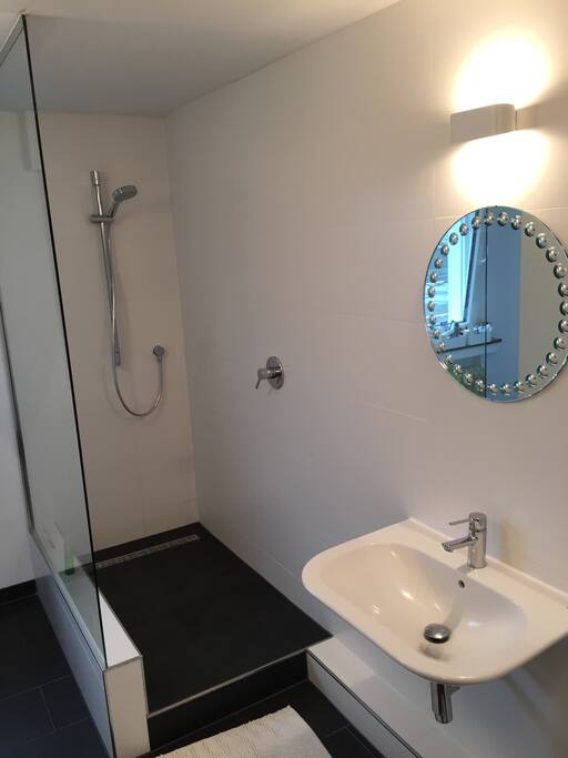 Private bathroom, shower
