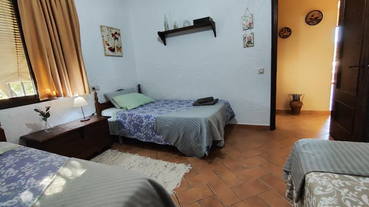 วิวทั่วไปของห้อง มุมมองทั่วไปของห้องนอน