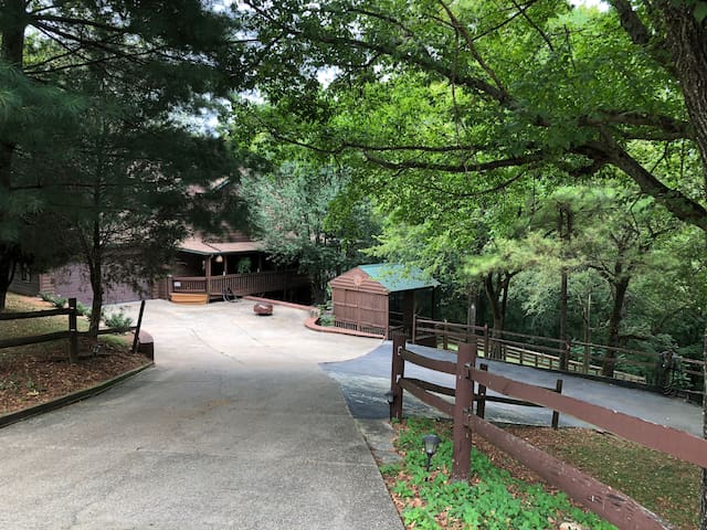 Birdy Hollow