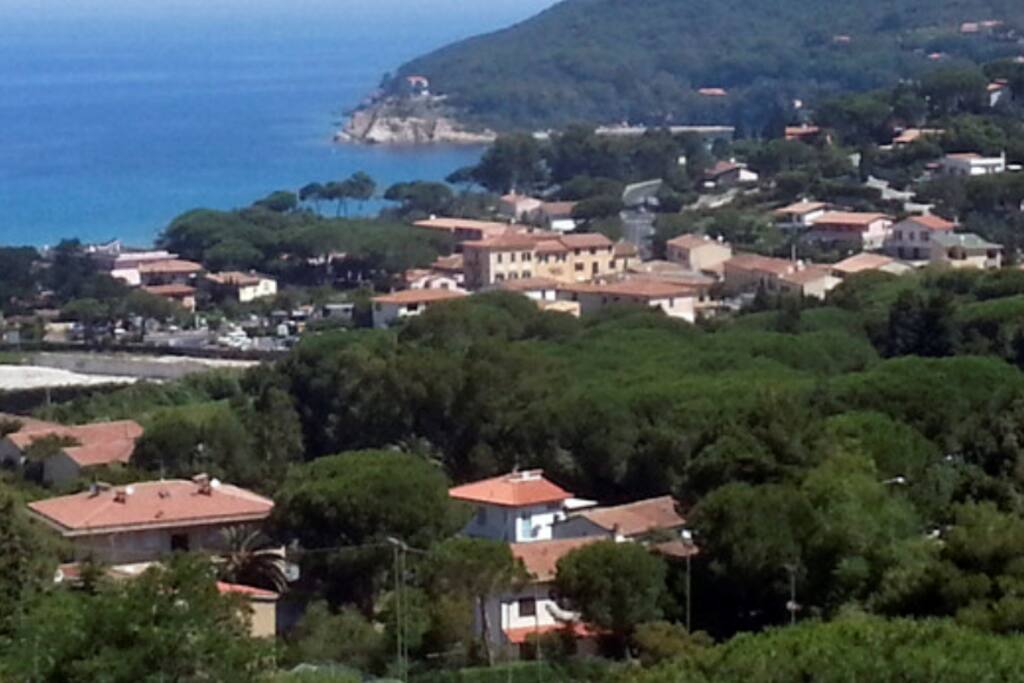 Procchio