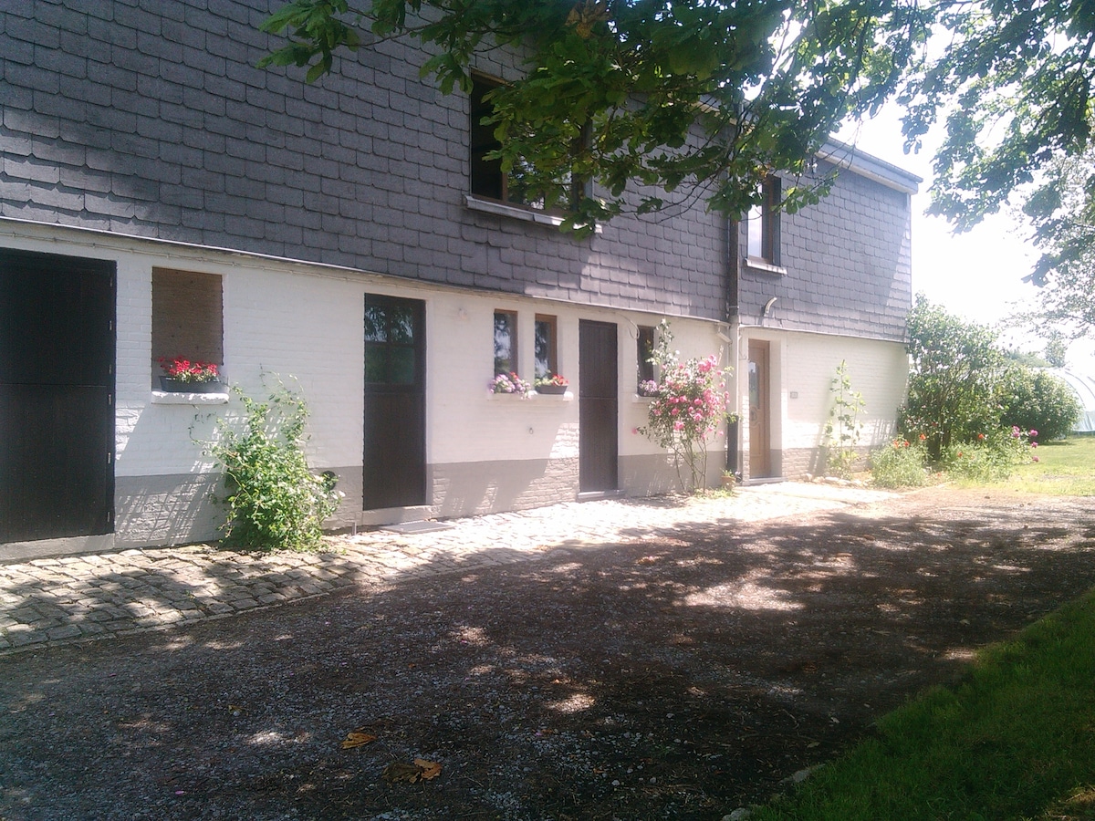 A charming exterior view of the house, featuring a gravel pathway lined with flowering plants. Sunlight filters through the trees, casting dappled shadows on the ground. The building showcases two different textures, with a combination of a shingle roof and white walls, contributing to its rustic appeal.
