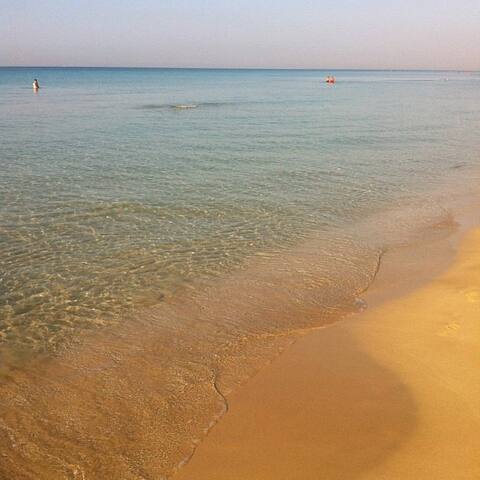 Villa in Residence – Pescoluse – Salento gallery image 2