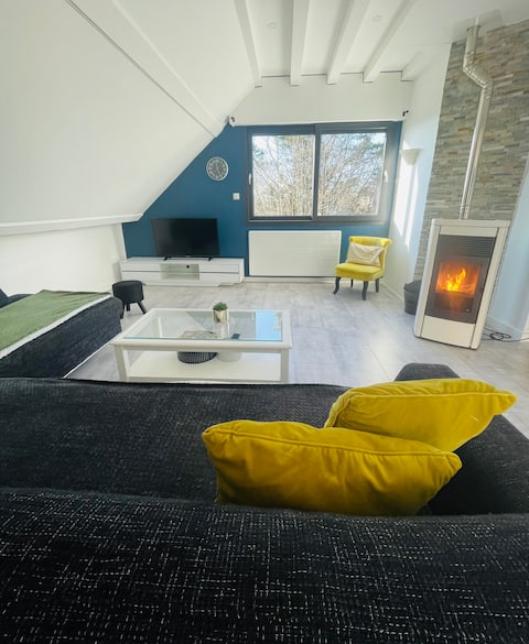 110 m2 apartment a stone's throw from Place Darcy