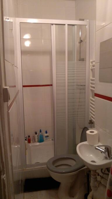 La petite salle de bain, douche et toilettes.
