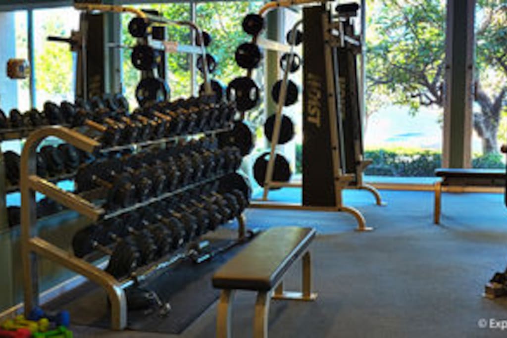 Gym & spa services available