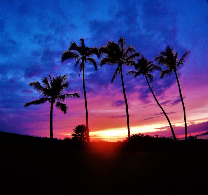 sunsets in our backyard