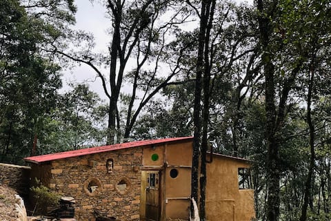 Cabaña la Rana/El Bosque de las Ranas