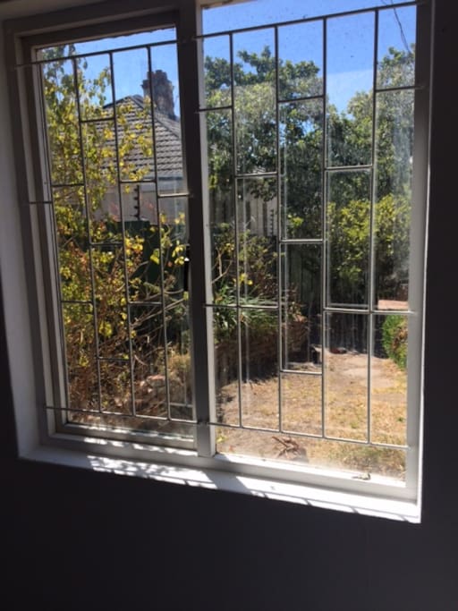 View of the Summer garden from one side of the studio