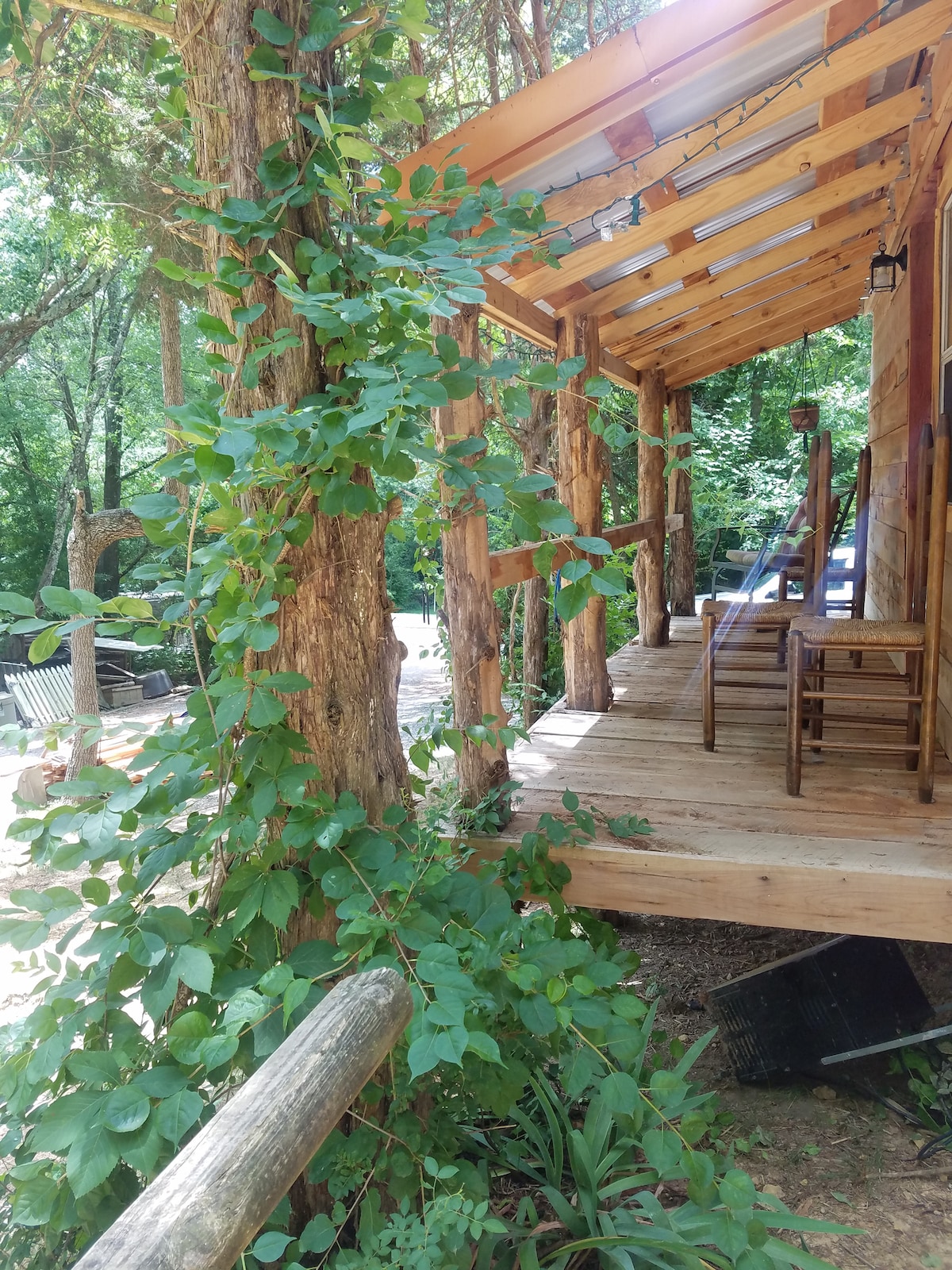 A rustic porch with wooden beams and a natural finish is shown, surrounded by abundant greenery. Climbing vines adorn the posts, while simple wooden chairs invite relaxation. The pathway extends beyond the porch, blending the cabin harmoniously with its natural surroundings.