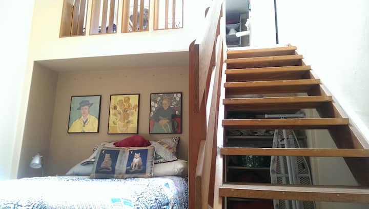 غرفة الضيوف 1