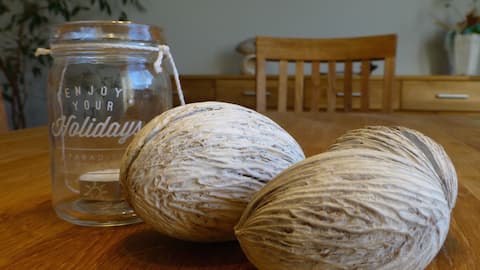 Vacation home at the Aabach