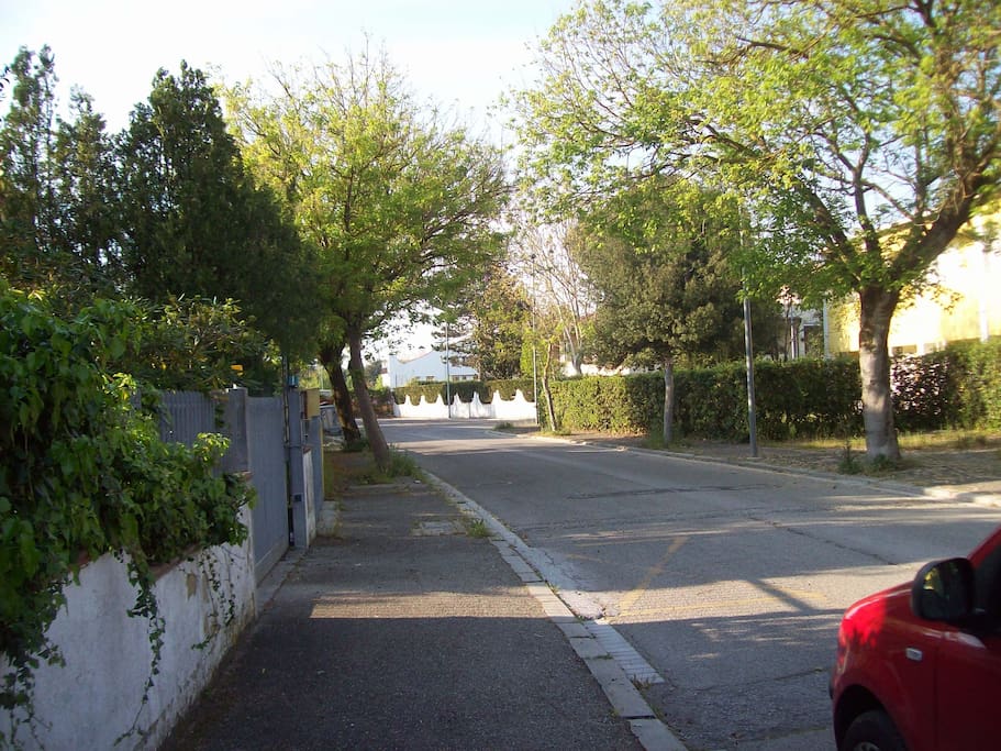 quartiere nel verde , con poco traffico auto esclusivo alle abitazioni non più alte di tre piani