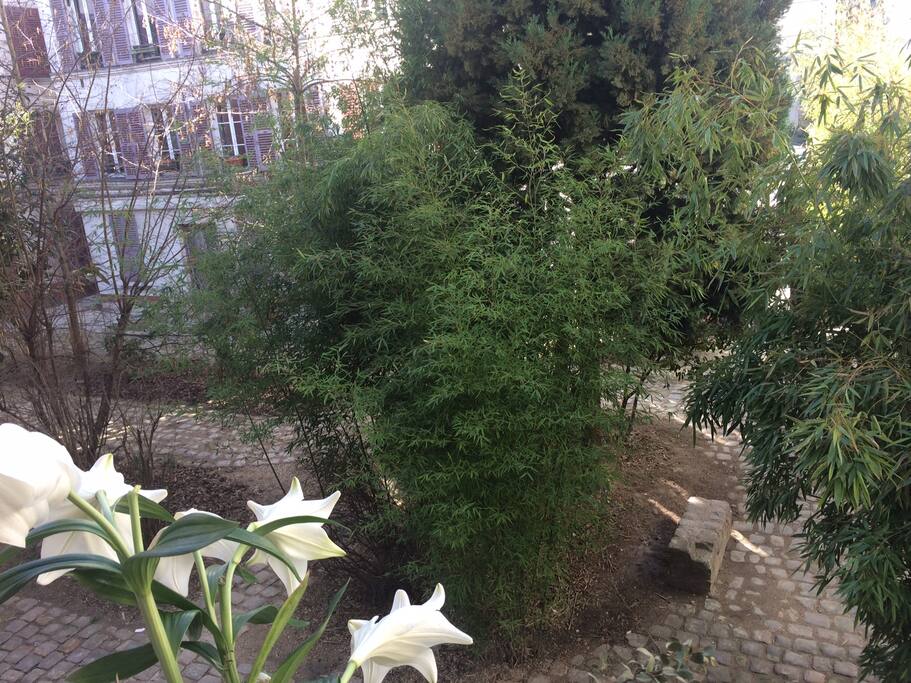 Vue de la fenêtre sur cour arborée: aucun vis-a-vis !