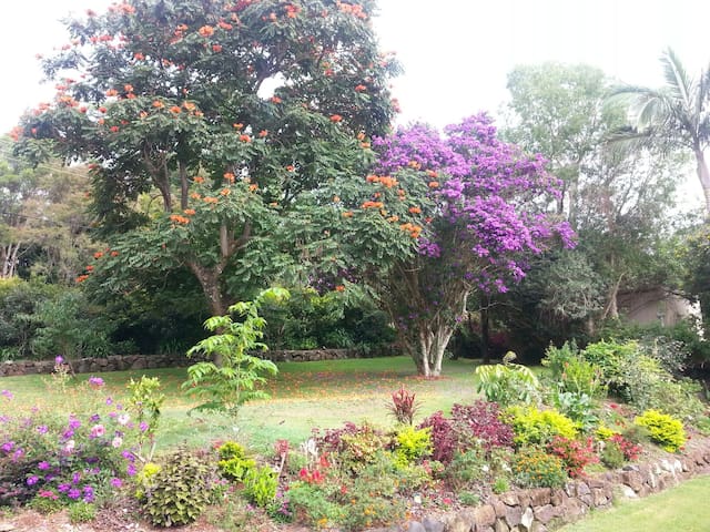 Stunning Tamborine Mountain