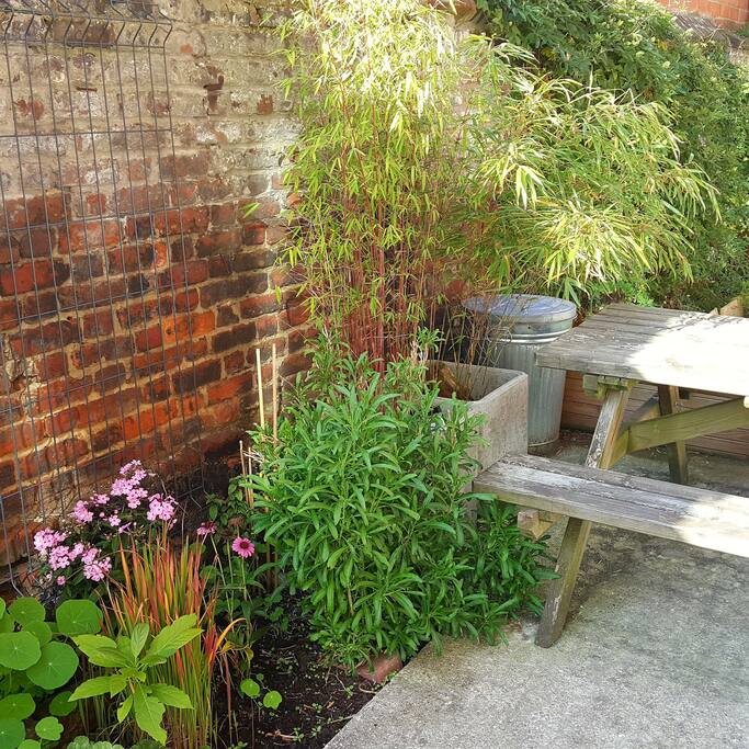 Petite terrasse