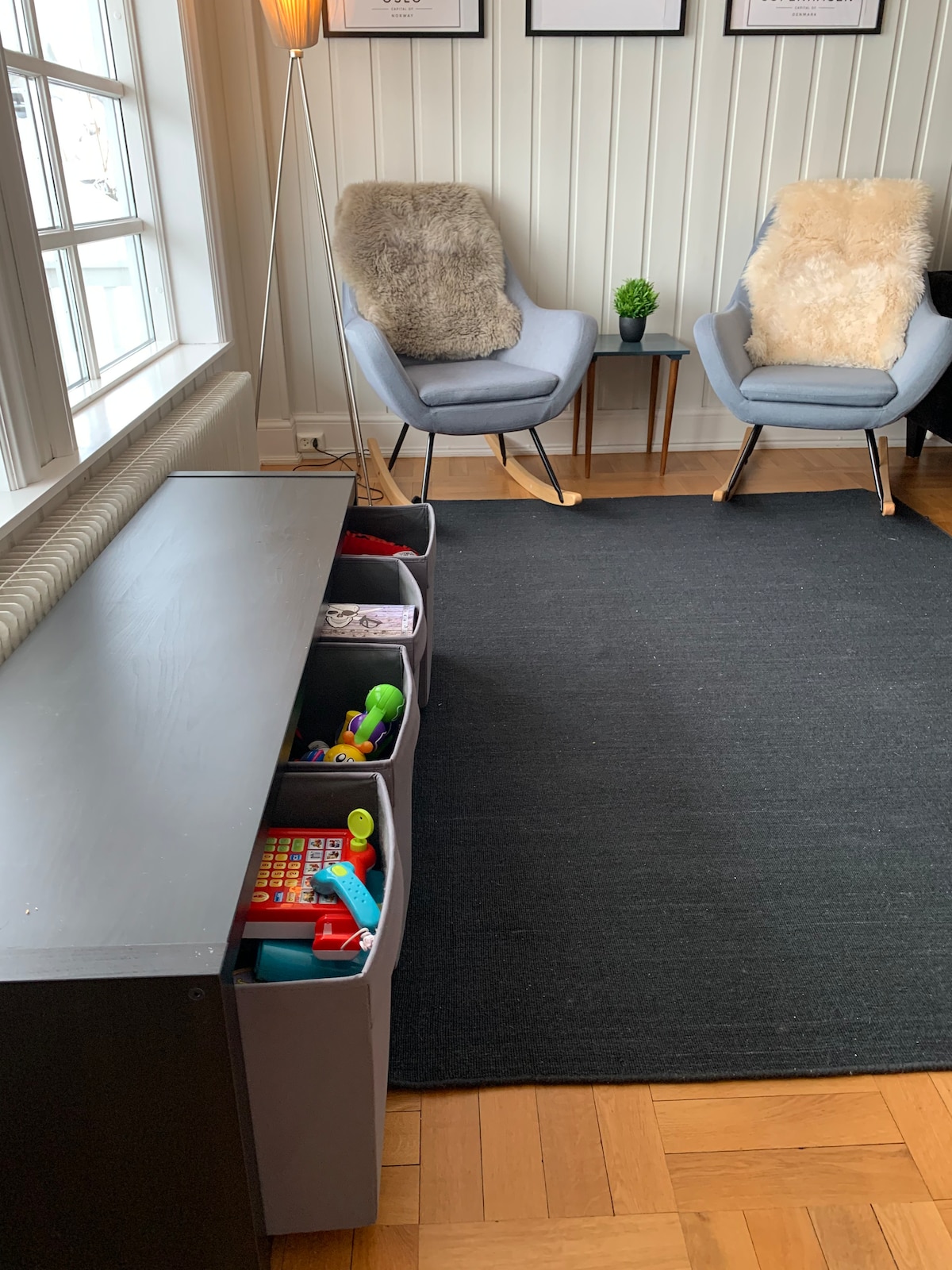 A corner seating area features two light blue chairs with soft, fur-like cushions, positioned next to a small side table with a green decorative plant. A dark area rug covers the wooden floor, while a storage unit with open bins filled with colorful toys is visible.
