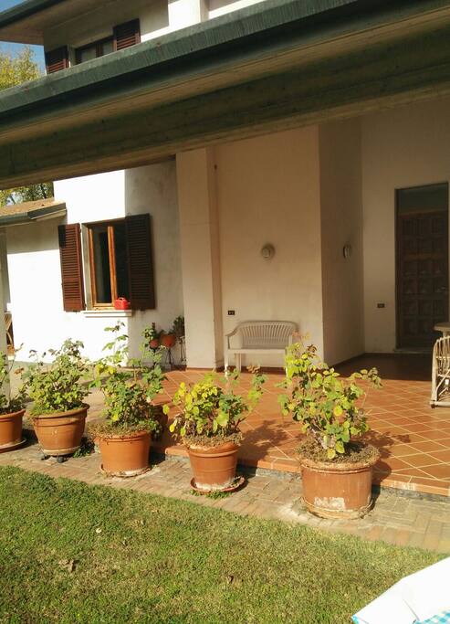 Ingresso